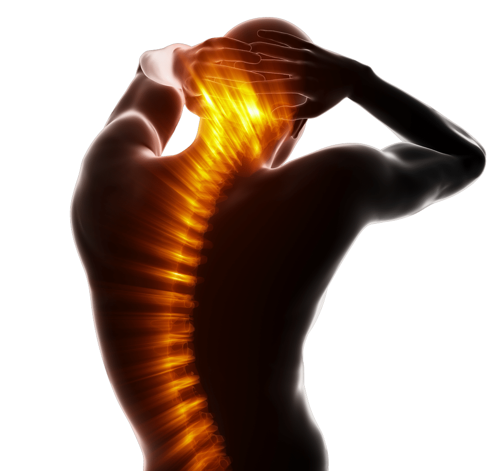 Emergency Care Chiropractic of Lima cut-out-spine-large Emergency Care Chiropractic of Lima cut-out-spine-large